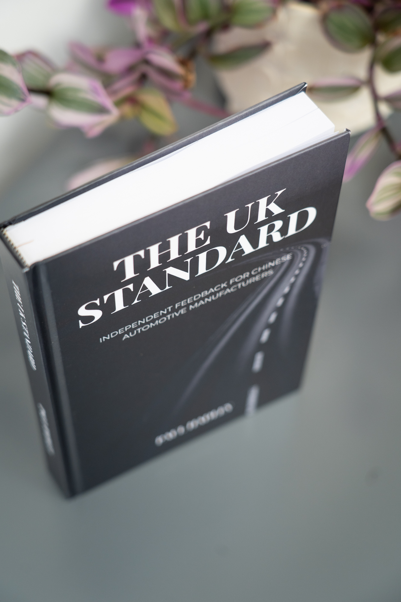 The UK Standard report standing upright on a table beside a trailing plant